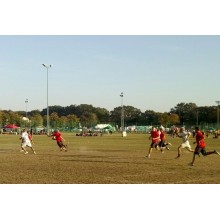 FRISBEE ULTIMATE GOTTA 175G