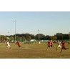 FRISBEE ULTIMATE GOTTA 175G